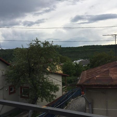 Zalishchyky Apartamentu 호스텔 외부 사진